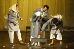 نمایش دفتر خاطرات جوجه اردک زشت