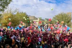 مراسم رونمایی از پوستر بیست و پنجمین جشنواره بین المللی تئاتر کودک و نوجوان